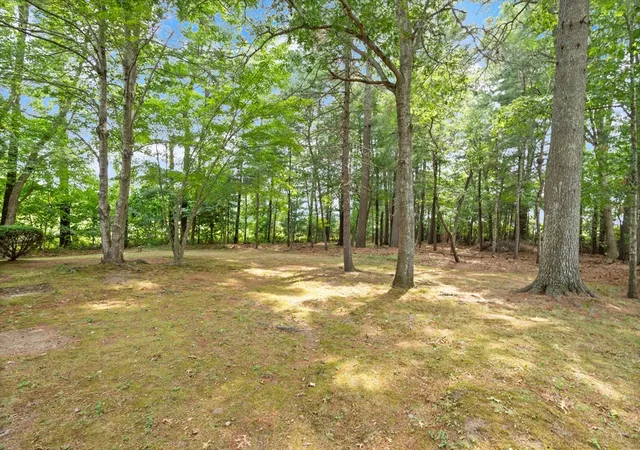 19th image of 18 Great Meadow Dr, Carver, MA 02330 | MLS# 73556386