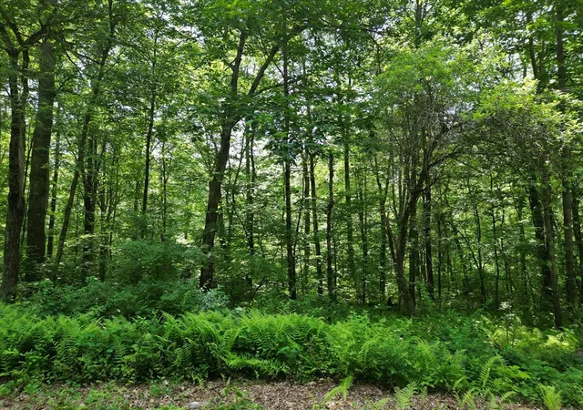 Homes for sale in Warren, MA | 0 Town Farm Rd, Warren, MA 01083 | MLS# 73495879