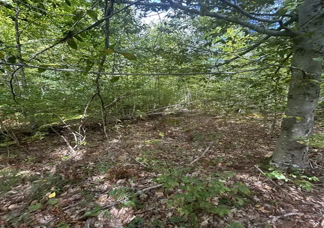 Homes for sale in Ashby, MA | 531 Mason Rd, Ashby, MA 01431 | MLS# 73506062