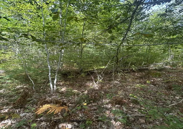 Homes for sale in Ashby, MA | 531 Mason Rd, Ashby, MA 01431 | MLS# 73506062