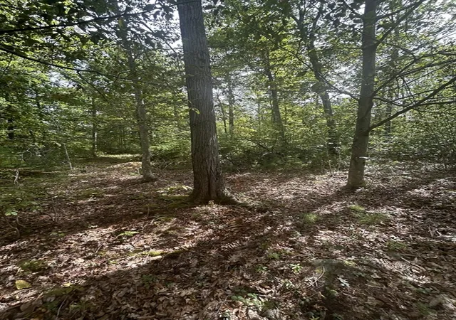 Homes for sale in Ashby, MA | 531 Mason Rd, Ashby, MA 01431 | MLS# 73506062