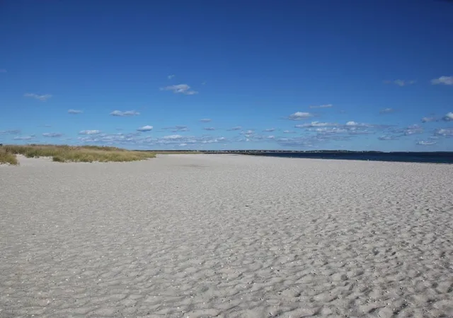 42nd image of 55 Seth Goodspeed's Way, Osterville, MA 02655 | MLS# 73513515