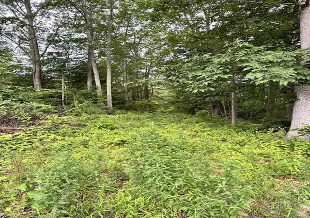 Homes for sale in Pepperell, MA | 24-A 34-A Dow, Pepperell, MA 01463 | MLS# 73540143