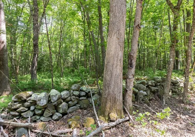 2nd image of 31 Parsonage Rd, Plympton, MA 02367 | MLS# 73533868