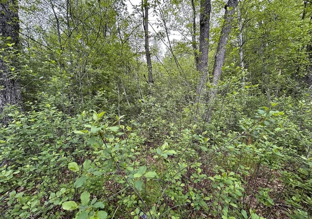 Homes for sale in Winchendon, MA | 0 Lot 2 Stoddard Rd, Winchendon, MA 01475 | MLS# 73522930