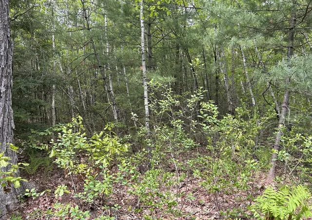 Homes for sale in Winchendon, MA | 0 Lot 2 Stoddard Rd, Winchendon, MA 01475 | MLS# 73522930