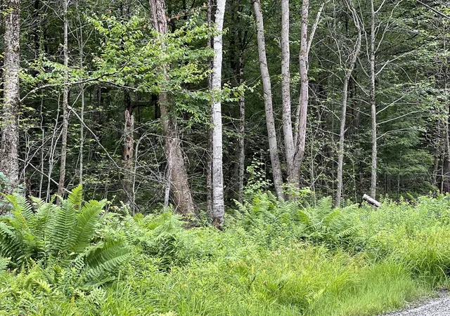 Homes for sale in Middlefield, MA | Lot 19 Becket Rd, Middlefield, MA 01243 | MLS# 73548367