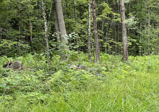 Homes for sale in Middlefield, MA | Lot 19 Becket Rd, Middlefield, MA 01243 | MLS# 73548367
