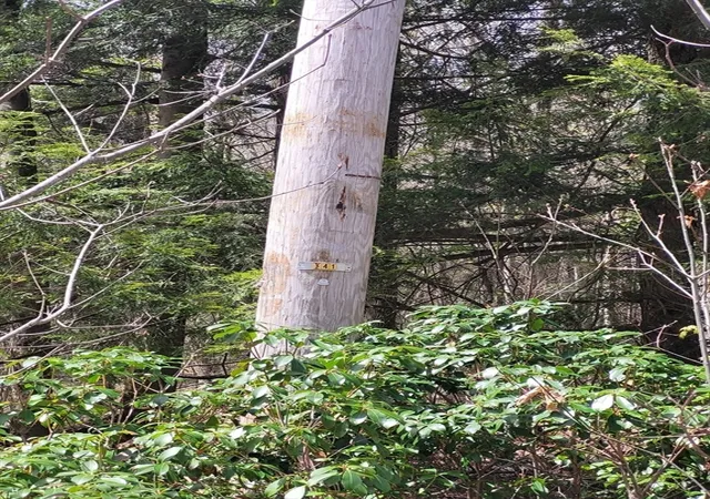 Photo 3 of Land for sale at Lot 3 Town Hl Rd, Sandisfield, MA 01255 | MLS# 73512301 | Listing updated on 2026-05-08