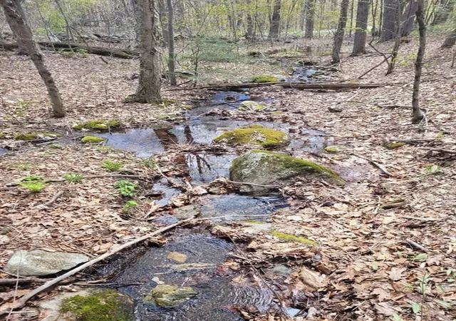 Photo 4 of Land for sale at Lot 3 Town Hl Rd, Sandisfield, MA 01255 | MLS# 73512301 | Listing updated on 2026-05-08