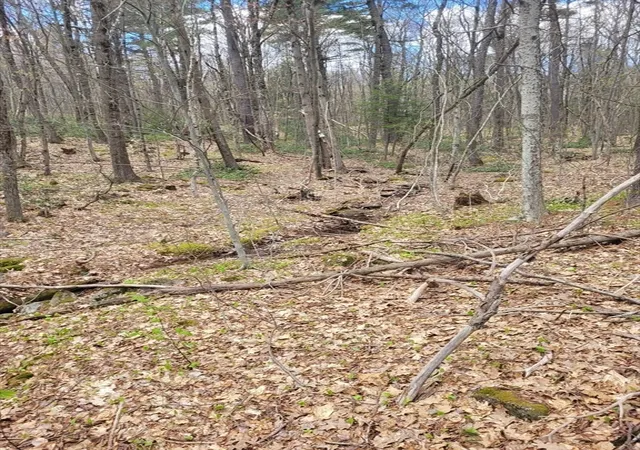 Photo 5 of Land for sale at Lot 3 Town Hl Rd, Sandisfield, MA 01255 | MLS# 73512301 | Listing updated on 2026-05-08