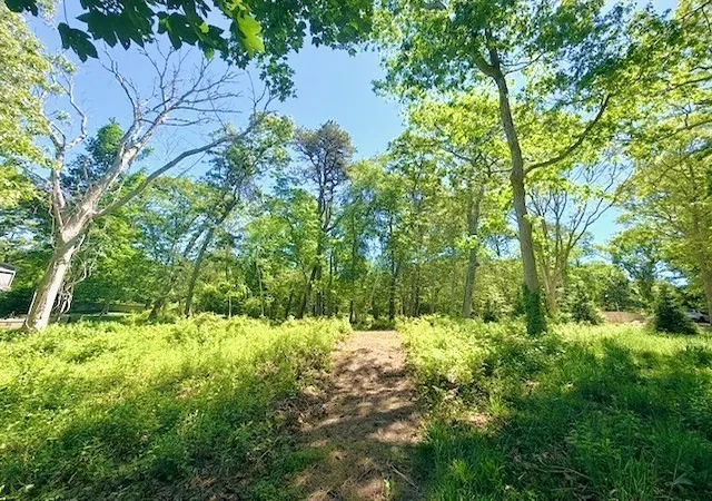 3rd image of 52 Heath Hen Ln, Tisbury, MA 02568 | MLS# 73529516
