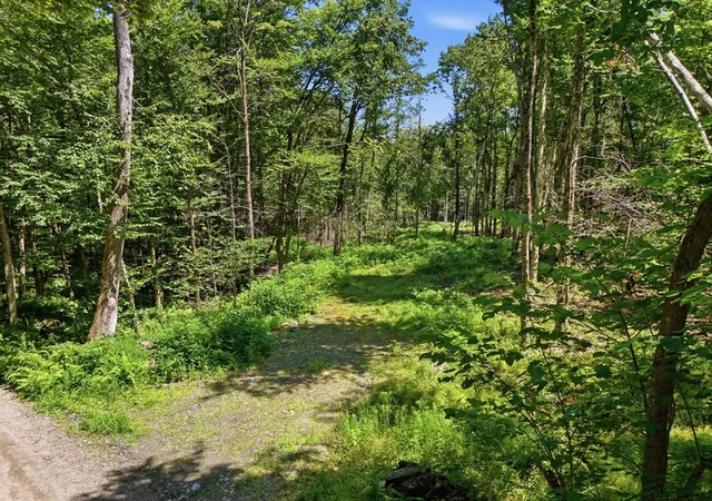 Photo 1 of Sale Pending at Lot 00 Thayer Hl Rd, Worthington, MA 01098 | MLS# 73560479 | Listing updated on 2026-09-28