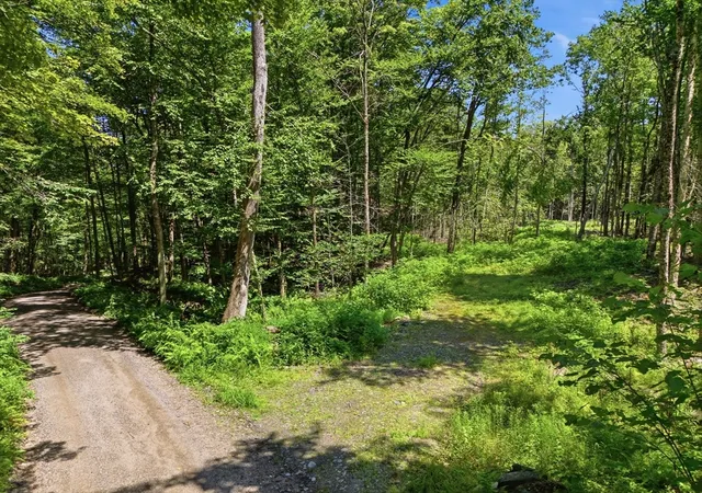 Photo 2 of Sale Pending at Lot 00 Thayer Hl Rd, Worthington, MA 01098 | MLS# 73560479 | Listing updated on 2026-09-28