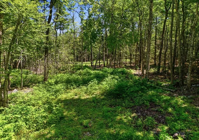 Photo 3 of Sale Pending at Lot 00 Thayer Hl Rd, Worthington, MA 01098 | MLS# 73560479 | Listing updated on 2026-09-28