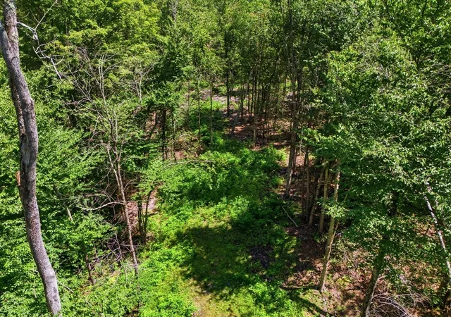 Photo 3 of Sale Pending at Lot 00 Thayer Hl Rd, Worthington, MA 01098 | MLS# 73560479 | Listing updated on 2026-09-28