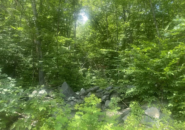 Photo 1 of Land for sale at Tract 7 Delargy Rd, Hardwick, MA 01037 | MLS# 73566958 | Listing updated on 2026-09-15