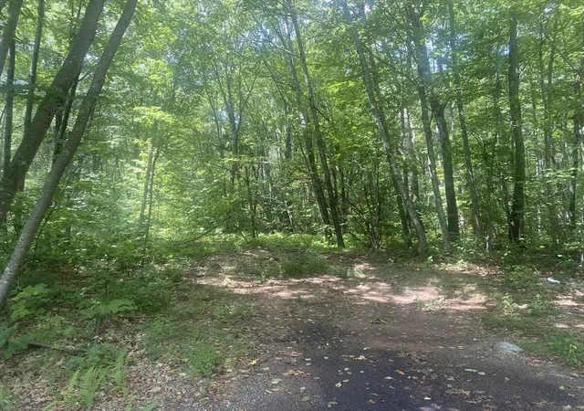 Photo 4 of Land for sale at Tract 7 Delargy Rd, Hardwick, MA 01037 | MLS# 73566958 | Listing updated on 2026-09-15
