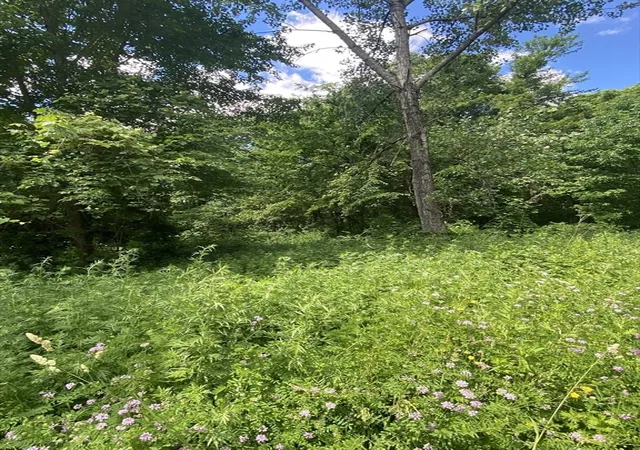1st image of Lot 27c Pennie Lane, Stow, MA 01775 | MLS# 73548599