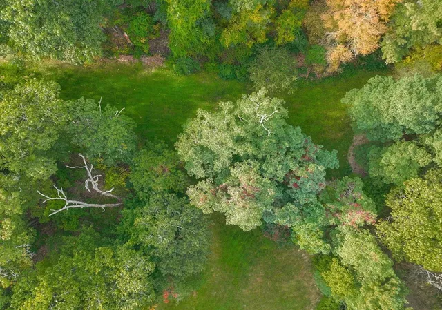 25th image of 79 Goddard Avenue, Brookline, MA 02445 | MLS# 73443429