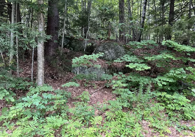Photo 4 of Land for sale at Lot 134 Shaw Rd, Windsor, MA 01270 | MLS# 73569612 | Listing updated on 2026-09-01