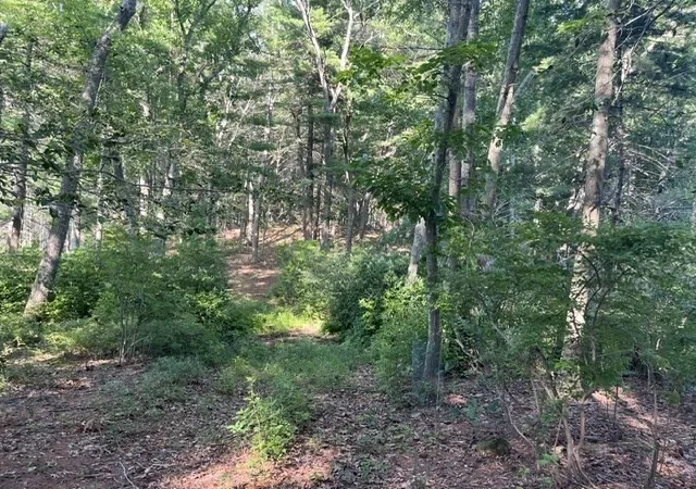 3rd image of 162 Haverhill Rd, Topsfield, MA 01983 | MLS# 73556393
