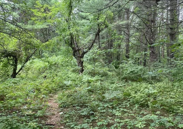 Photo 3 of Land for sale at 0 Worcester Providence Tpke, Millbury, MA 01527 | MLS# 73559075 | Listing updated on 2026-08-08