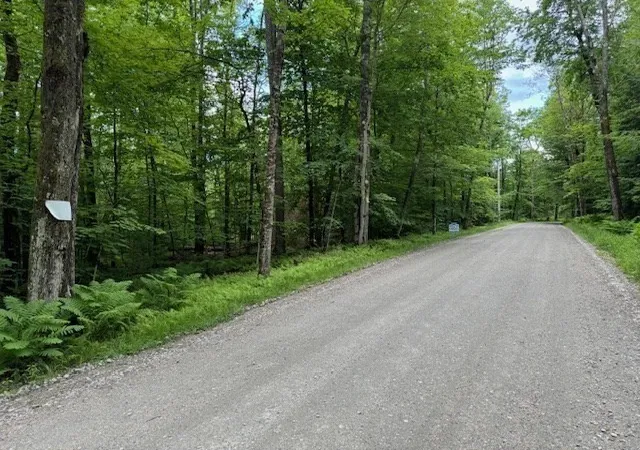 Photo 2 of Land for sale at Lot 121 Davis Mine Rd, Rowe, MA 01367 | MLS# 73568185 | Listing updated on 2026-08-30