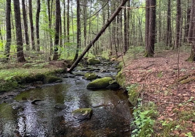 Photo 3 of Land for sale at Lot 121 Davis Mine Rd, Rowe, MA 01367 | MLS# 73568185 | Listing updated on 2026-08-30
