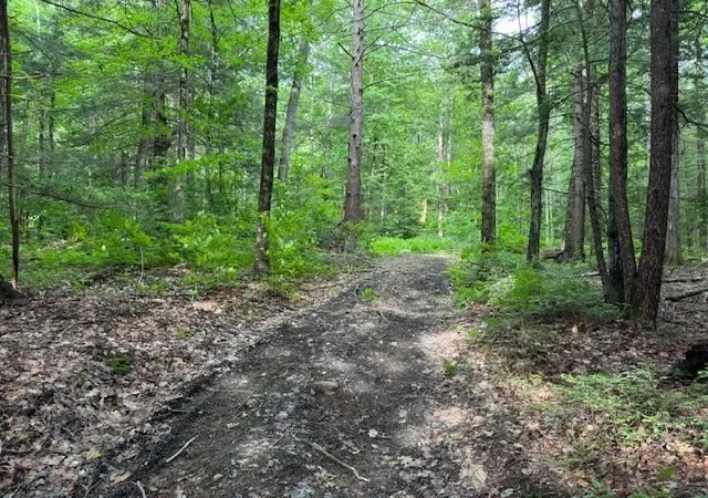 Photo 3 of Land for sale at Lot 121 Davis Mine Rd, Rowe, MA 01367 | MLS# 73568185 | Listing updated on 2026-08-30