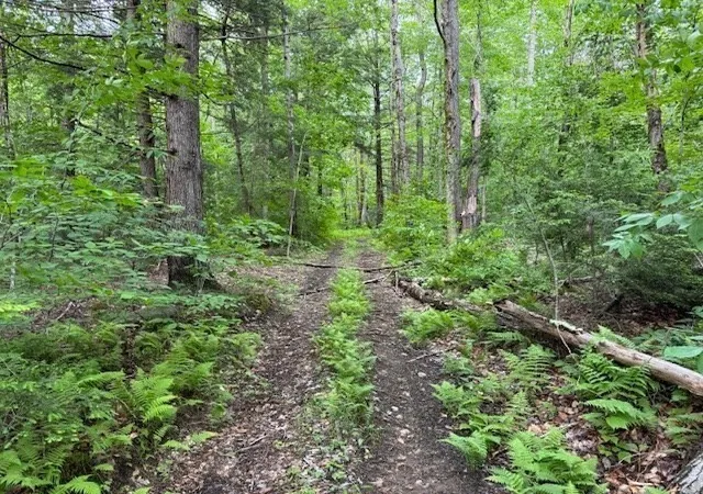 Photo 4 of Land for sale at Lot 121 Davis Mine Rd, Rowe, MA 01367 | MLS# 73568185 | Listing updated on 2026-08-30