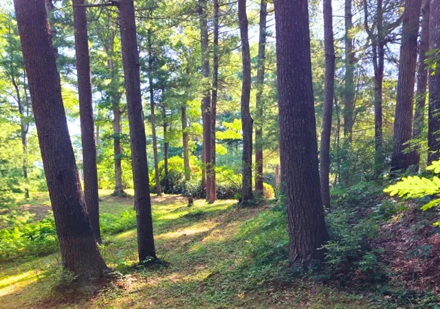 1st image of 0 Nel Bonney Road, Plympton, MA 02367 | MLS# 73564456