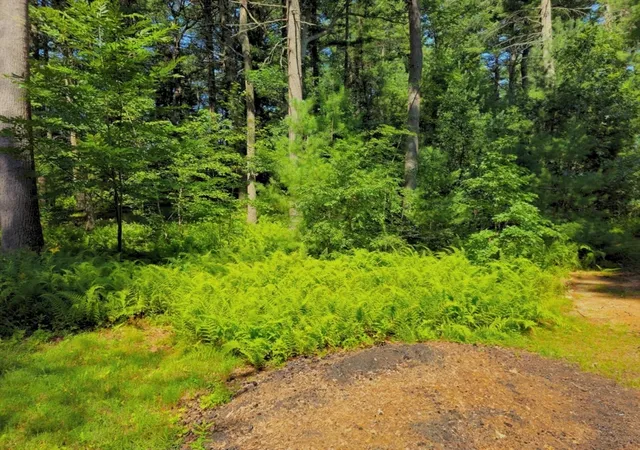 Photo 3 of Land for sale at 0 Nel Bonney Rd, Plympton, MA 02367 | MLS# 73564456 | Listing updated on 2026-09-20