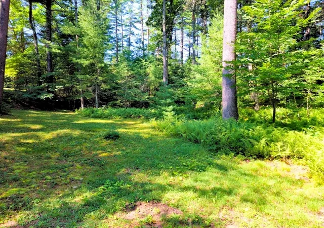 Photo 4 of Land for sale at 0 Nel Bonney Rd, Plympton, MA 02367 | MLS# 73564456 | Listing updated on 2026-09-20