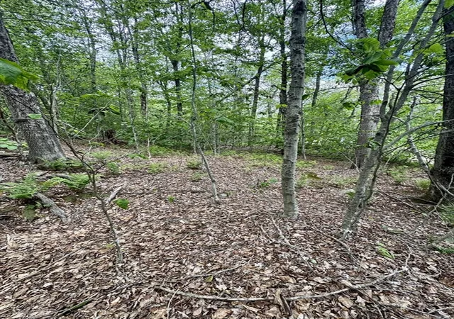 Photo 4 of Land for sale at Lot 273 King Richard Dr, Becket, MA 01223 | MLS# 73528392 | Listing updated on 2026-08-28