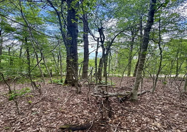 Photo 5 of Land for sale at Lot 273 King Richard Dr, Becket, MA 01223 | MLS# 73528392 | Listing updated on 2026-08-28