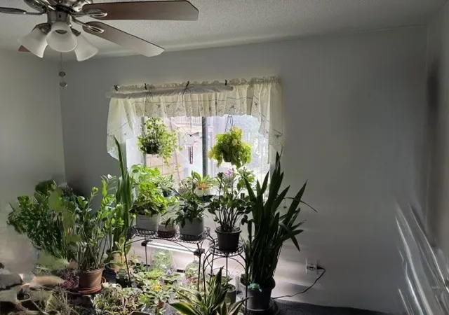5th image of 491 W Central St #A7, Franklin, MA 02038 | MLS# 73551919