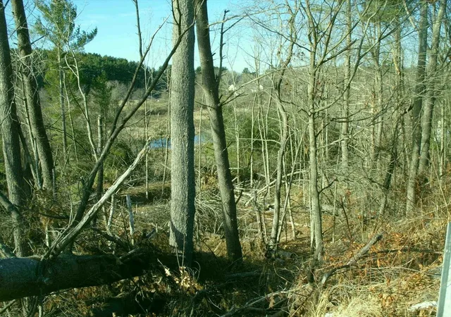 Land for sale at 235 Main St, Sturbridge, MA 01566 | MLS# 73555044