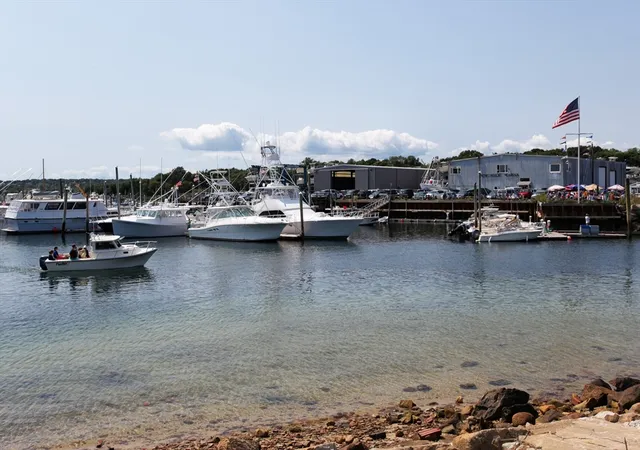 42nd image of 65 Kings Row Dr, South Dennis, MA 02660 | MLS# 73558294