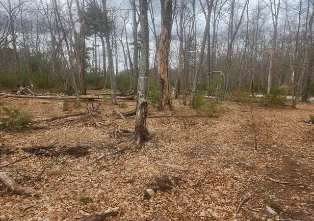 5th image of 147 Washington Street Lot 2, Sherborn, MA 01770 | MLS# 73493089