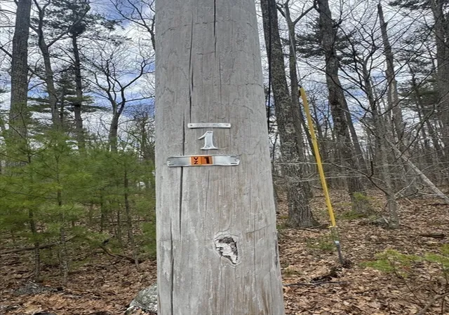 Homes for sale in Barre, MA | Lot 4 Murphy And Williamsville Rds, Barre, MA 01005 | MLS# 73511071