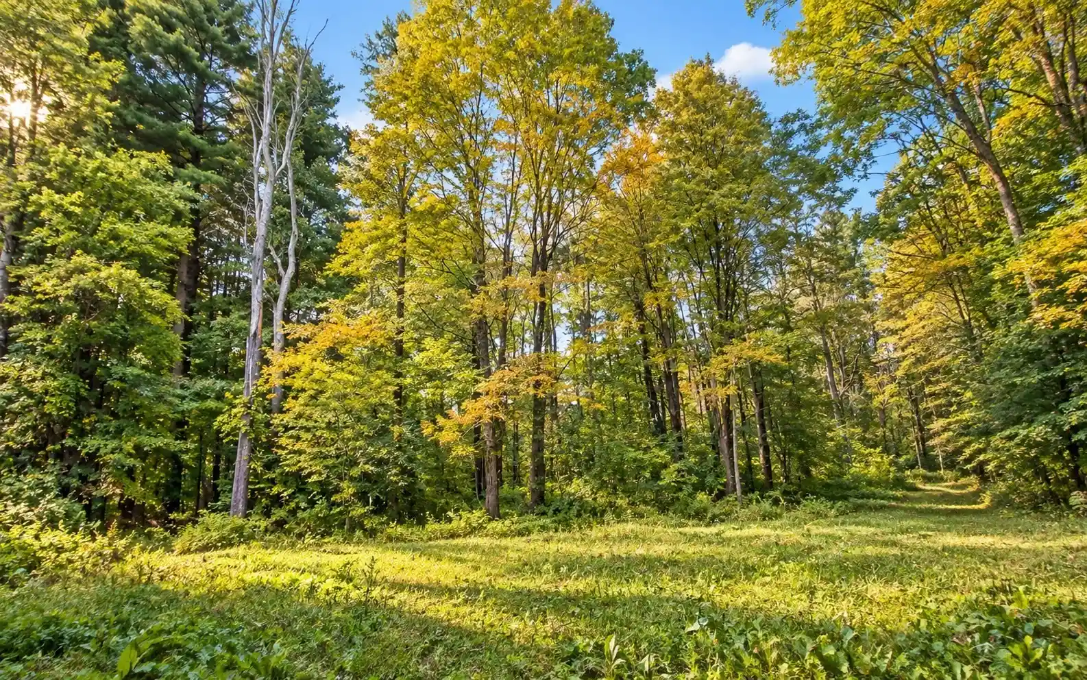 Photo 1 of Land for sale at Lot 3 Ma 41, Richmond, MA 01254 | MLS# 73589588 | Listing updated on 2026-10-16
