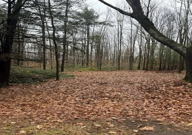 Homes for sale in Wendell, MA | 0 Wendell Depot Rd, Wendell, MA 01379 | MLS# 73461894