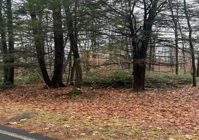 Homes for sale in Wendell, MA | 0 Wendell Depot Rd, Wendell, MA 01379 | MLS# 73461894