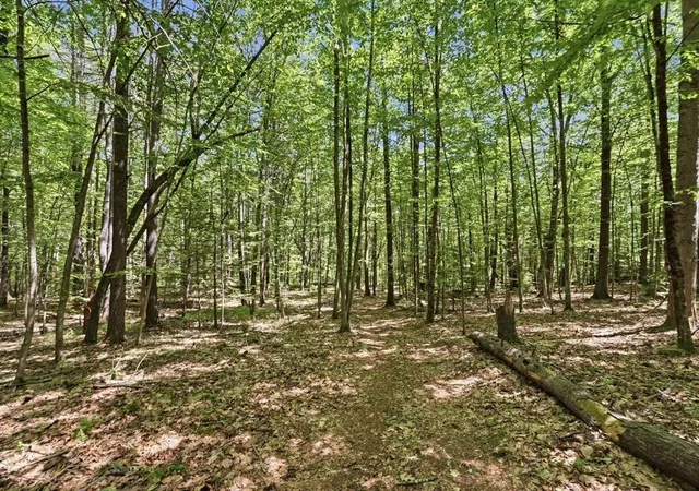 3rd image of 0 Carter Pond Road, Petersham, MA 01366 | MLS# 73542773