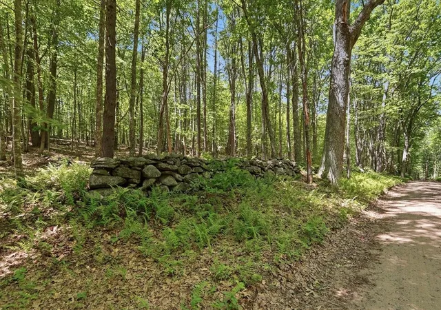 4th image of 0 Carter Pond Road, Petersham, MA 01366 | MLS# 73542773