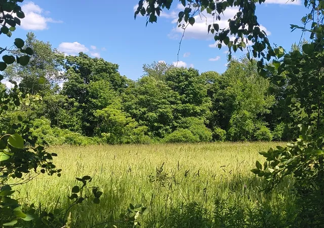 1st image of Lot 4 Holcomb Road, Chester, MA 01011 | MLS# 73543999