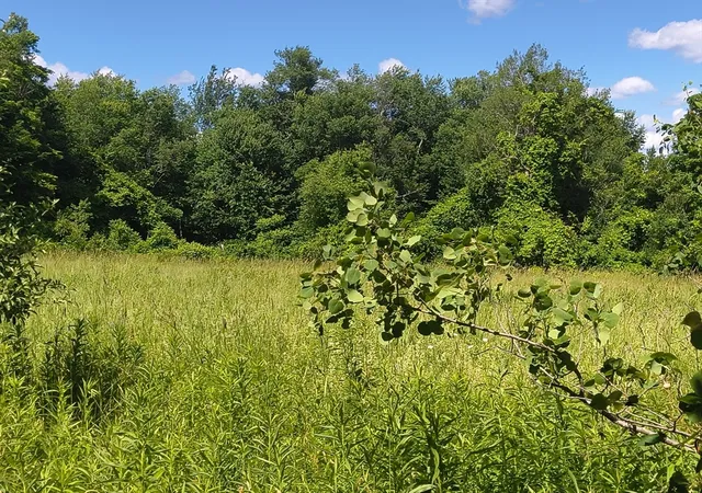 2nd image of Lot 4 Holcomb Road, Chester, MA 01011 | MLS# 73543999