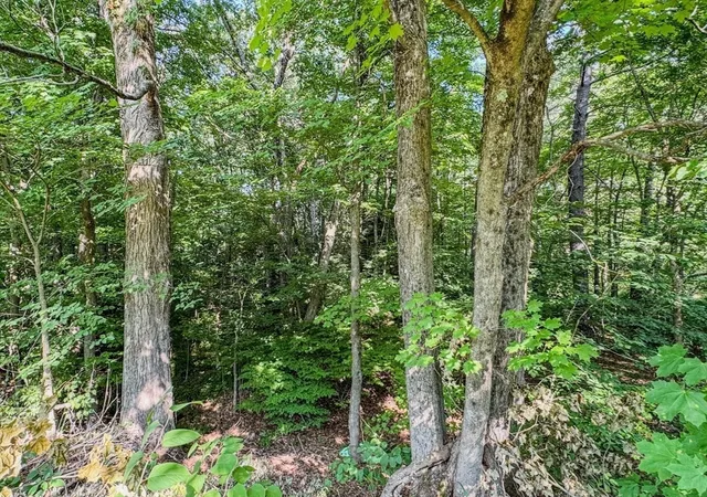 42nd image of 67 Country Club Rd, Greenfield, MA 01301 | MLS# 73558027