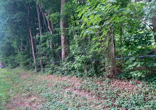 Photo 1 of Land for sale at 0 Chestnut Plain Rd (ws), Whately, MA 01093 | MLS# 73567432 | Listing updated on 2026-08-28